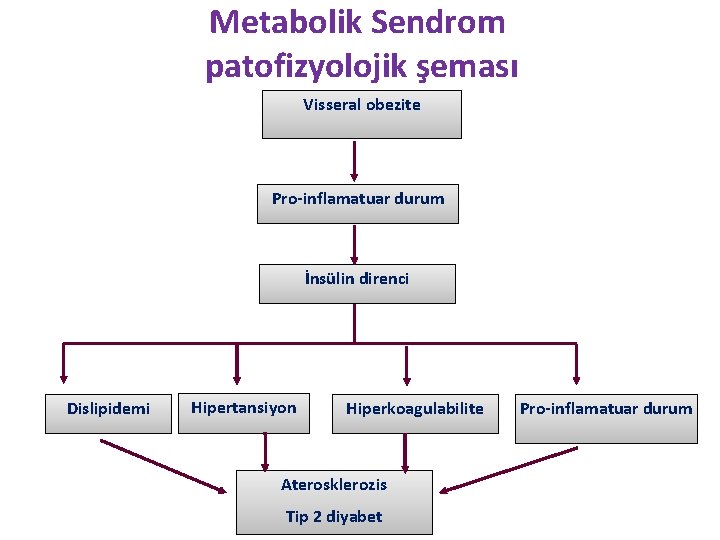 Metabolik Sendrom patofizyolojik şeması Visseral obezite Pro-inflamatuar durum İnsülin direnci Dislipidemi Hipertansiyon Hiperkoagulabilite Aterosklerozis