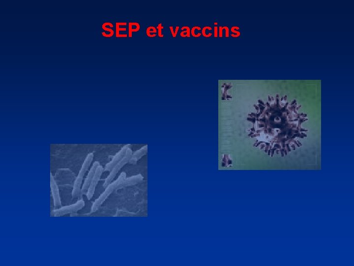 SEP et vaccins 