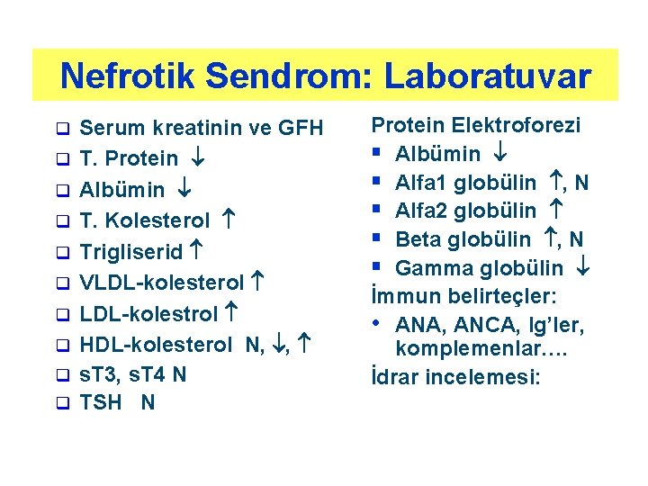 Nefrotik Sendrom: Laboratuvar q q q q q Serum kreatinin ve GFH T. Protein