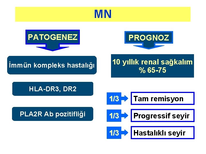 MN PATOGENEZ İmmün kompleks hastalığı PROGNOZ 10 yıllık renal sağkalım % 65 -75 HLA-DR