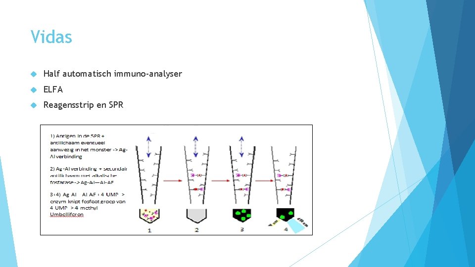 Vidas Half automatisch immuno-analyser ELFA Reagensstrip en SPR 