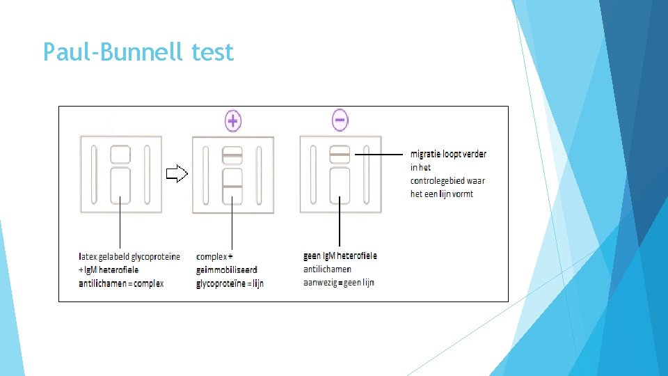 Paul-Bunnell test 