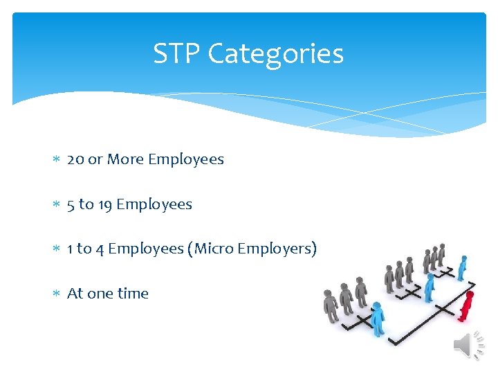 STP Categories 20 or More Employees 5 to 19 Employees 1 to 4 Employees