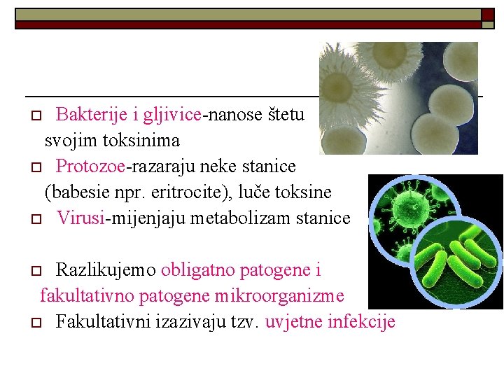 Bakterije i gljivice-nanose štetu svojim toksinima o Protozoe-razaraju neke stanice (babesie npr. eritrocite), luče