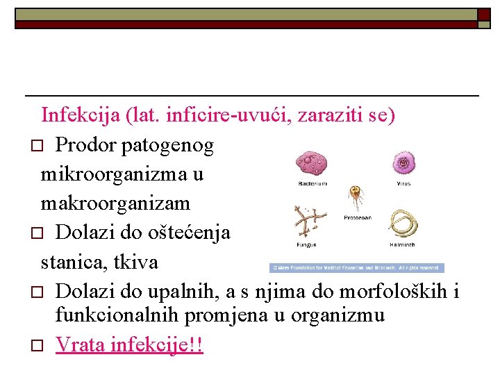 Infekcija (lat. inficire-uvući, zaraziti se) o Prodor patogenog mikroorganizma u makroorganizam o Dolazi do