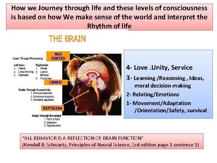 How we Journey through life and these levels of consciousness is based on how