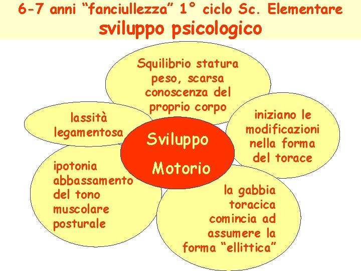 6 -7 anni “fanciullezza” 1° ciclo Sc. Elementare sviluppo psicologico lassità legamentosa ipotonia abbassamento