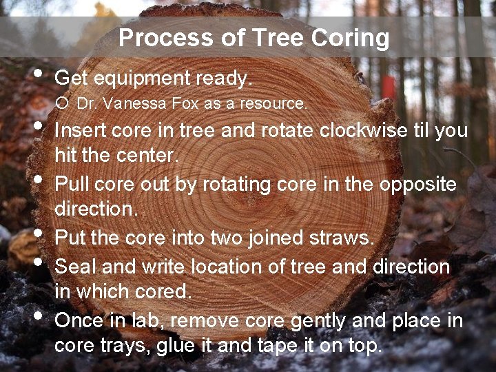 Process of Tree Coring • Get equipment ready. o Dr. Vanessa Fox as a