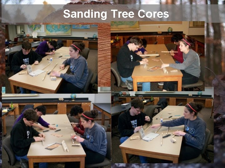 Sanding Tree Cores 