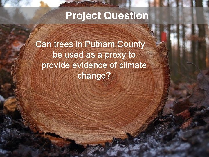 Project Question Can trees in Putnam County be used as a proxy to provide