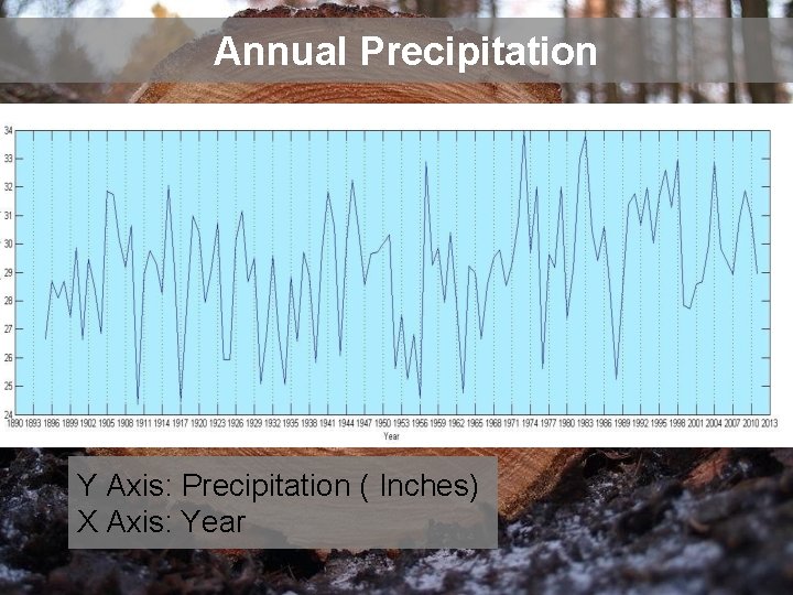 Annual Precipitation Y Axis: Precipitation ( Inches) X Axis: Year 