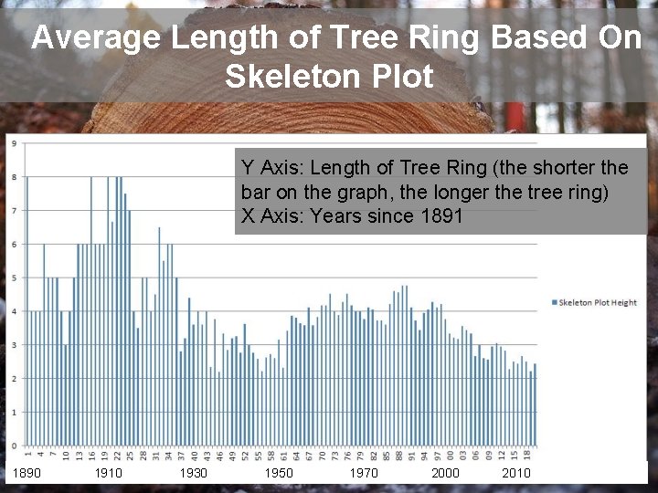 Average Length of Tree Ring Based On Skeleton Plot Y Axis: Length of Tree