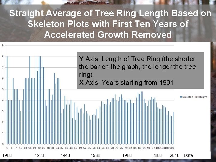 Straight Average of Tree Ring Length Based on Skeleton Plots with First Ten Years