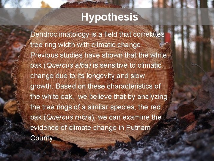 Hypothesis Dendroclimatology is a field that correlates tree ring width with climatic change. Previous