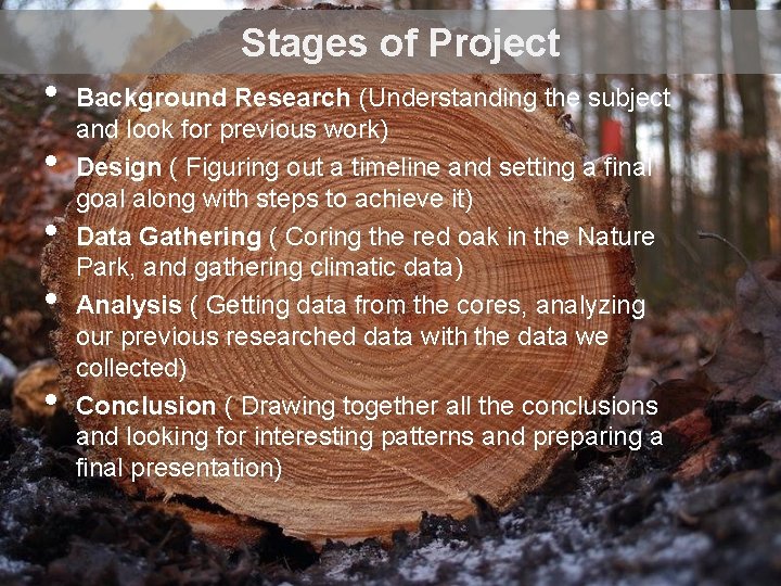 Stages of Project • • • Background Research (Understanding the subject and look for