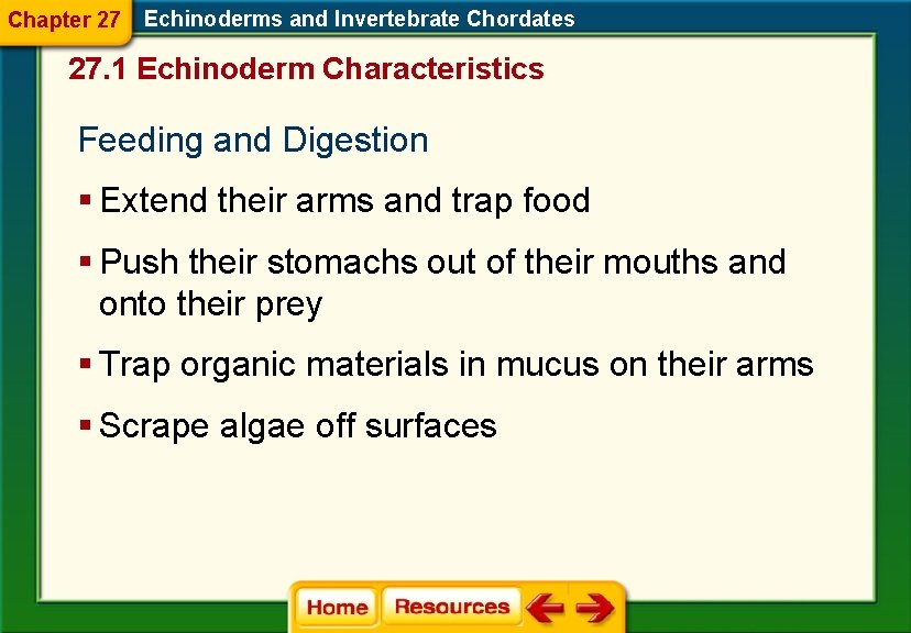 Chapter 27 Echinoderms and Invertebrate Chordates 27. 1 Echinoderm Characteristics Feeding and Digestion § Chapter 27 Echinoderms and Invertebrate Chordates 27. 1 Echinoderm Characteristics Feeding and Digestion §