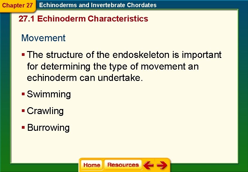 Chapter 27 Echinoderms and Invertebrate Chordates 27. 1 Echinoderm Characteristics Movement § The structure Chapter 27 Echinoderms and Invertebrate Chordates 27. 1 Echinoderm Characteristics Movement § The structure