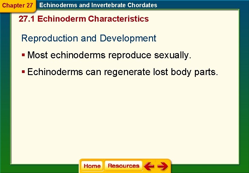Chapter 27 Echinoderms and Invertebrate Chordates 27. 1 Echinoderm Characteristics Reproduction and Development § Chapter 27 Echinoderms and Invertebrate Chordates 27. 1 Echinoderm Characteristics Reproduction and Development §