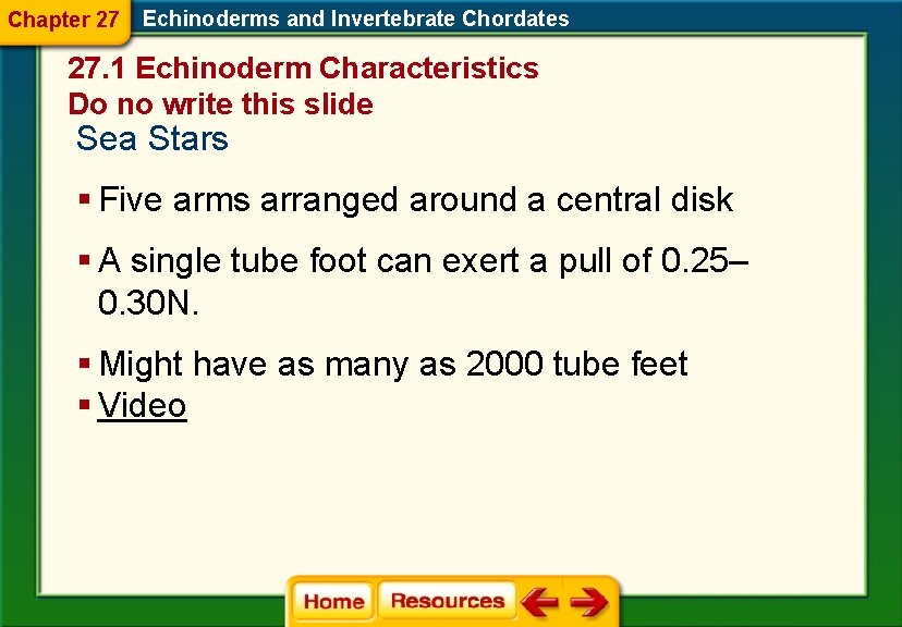 Chapter 27 Echinoderms and Invertebrate Chordates 27. 1 Echinoderm Characteristics Do no write this Chapter 27 Echinoderms and Invertebrate Chordates 27. 1 Echinoderm Characteristics Do no write this