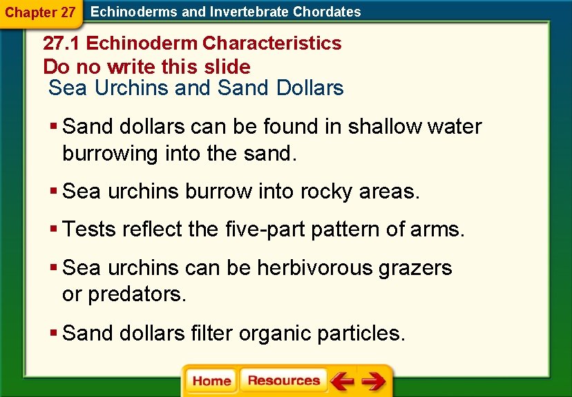 Chapter 27 Echinoderms and Invertebrate Chordates 27. 1 Echinoderm Characteristics Do no write this Chapter 27 Echinoderms and Invertebrate Chordates 27. 1 Echinoderm Characteristics Do no write this