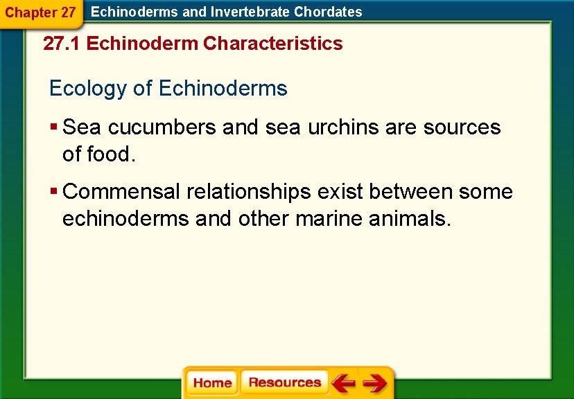 Chapter 27 Echinoderms and Invertebrate Chordates 27. 1 Echinoderm Characteristics Ecology of Echinoderms § Chapter 27 Echinoderms and Invertebrate Chordates 27. 1 Echinoderm Characteristics Ecology of Echinoderms §