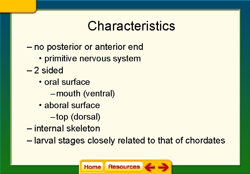 Characteristics – no posterior or anterior end • primitive nervous system – 2 sided Characteristics – no posterior or anterior end • primitive nervous system – 2 sided