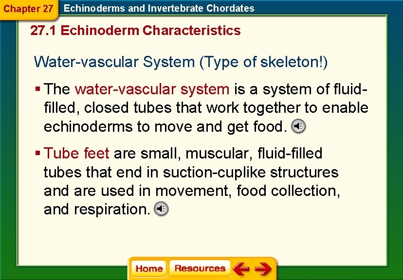 Chapter 27 Echinoderms and Invertebrate Chordates 27. 1 Echinoderm Characteristics Water-vascular System (Type of Chapter 27 Echinoderms and Invertebrate Chordates 27. 1 Echinoderm Characteristics Water-vascular System (Type of