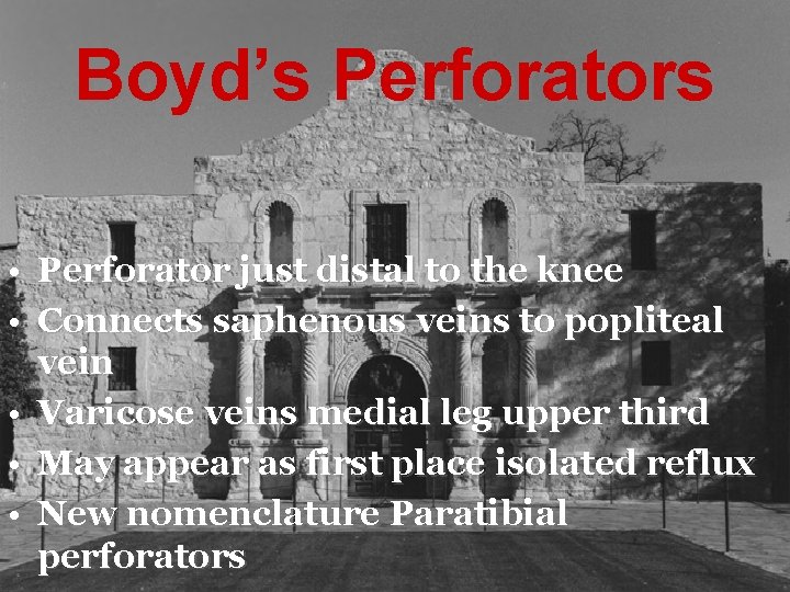Boyd’s Perforators • Perforator just distal to the knee • Connects saphenous veins to