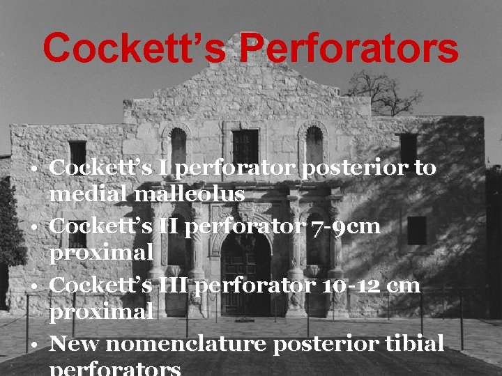 Cockett’s Perforators • Cockett’s I perforator posterior to medial malleolus • Cockett’s II perforator