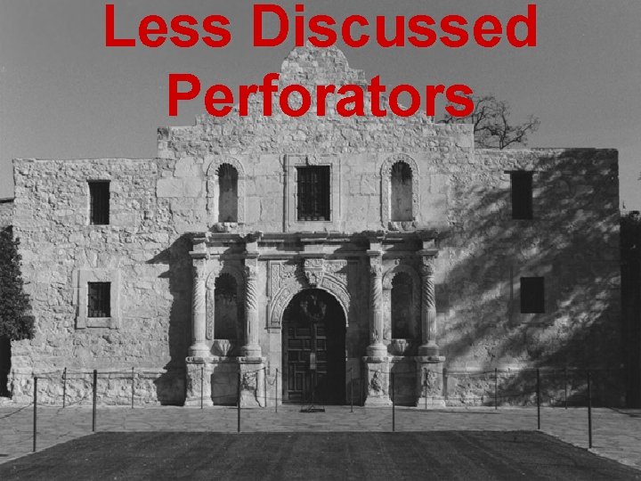 Less Discussed Perforators 