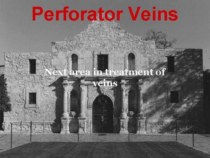 Perforator Veins Next area in treatment of veins 