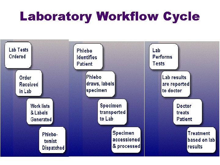 Laboratory Workflow Cycle 