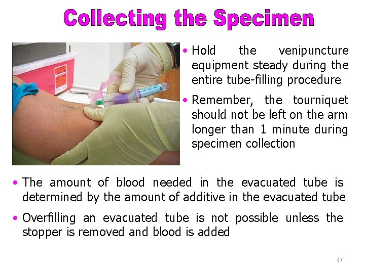 Collecting the Specimen • Hold the venipuncture equipment steady during the entire tube-filling procedure