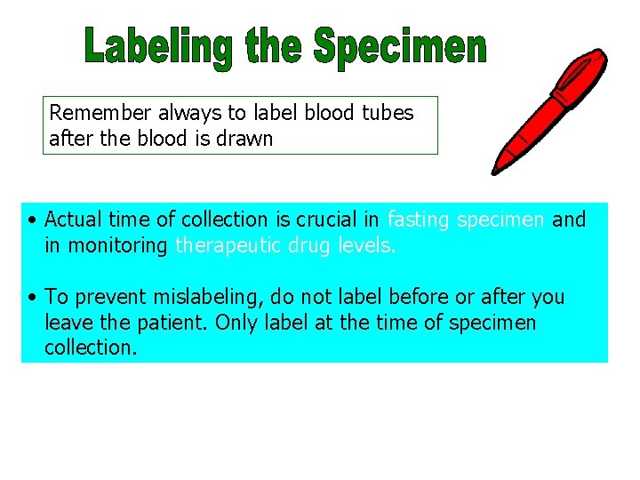 Labeling the Specimen Part 2 Remember always to label blood tubes after the blood