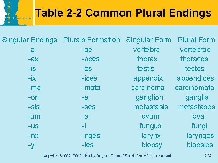 Table 2 -2 Common Plural Endings Singular Endings Plurals Formation Singular Form -a -ae