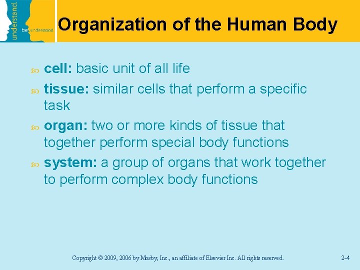 Organization of the Human Body cell: basic unit of all life tissue: similar cells