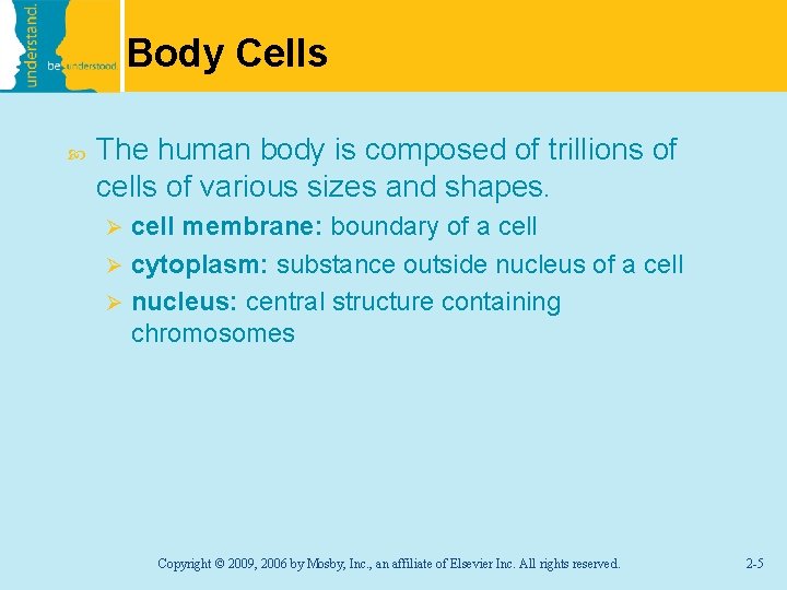 Body Cells The human body is composed of trillions of cells of various sizes