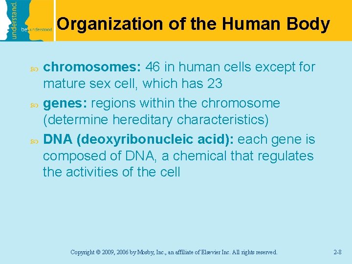 Organization of the Human Body chromosomes: 46 in human cells except for mature sex