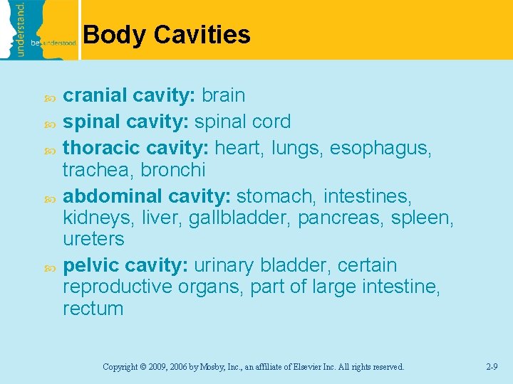 Body Cavities cranial cavity: brain spinal cavity: spinal cord thoracic cavity: heart, lungs, esophagus,