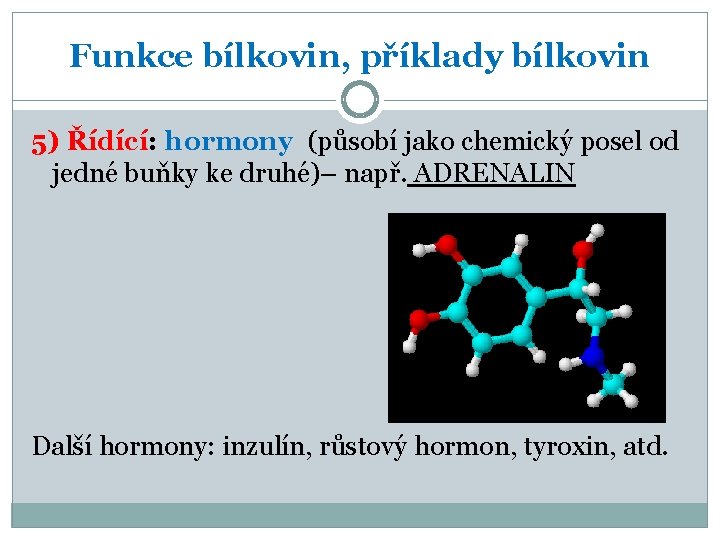 Funkce bílkovin, příklady bílkovin 5) Řídící: hormony (působí jako chemický posel od jedné buňky