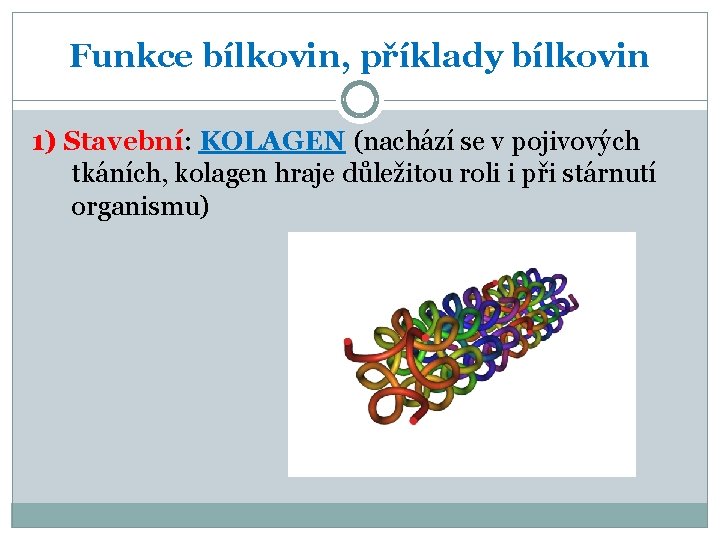 Funkce bílkovin, příklady bílkovin 1) Stavební: KOLAGEN (nachází se v pojivových tkáních, kolagen hraje