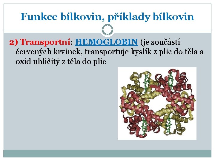 Funkce bílkovin, příklady bílkovin 2) Transportní: HEMOGLOBIN (je součástí červených krvinek, transportuje kyslík z