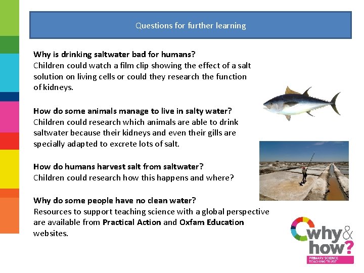 Questions for further learning Why is drinking saltwater bad for humans? Children could watch