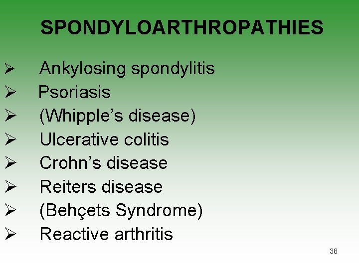 SPONDYLOARTHROPATHIES Ø Ø Ø Ø Ankylosing spondylitis Psoriasis (Whipple’s disease) Ulcerative colitis Crohn’s disease