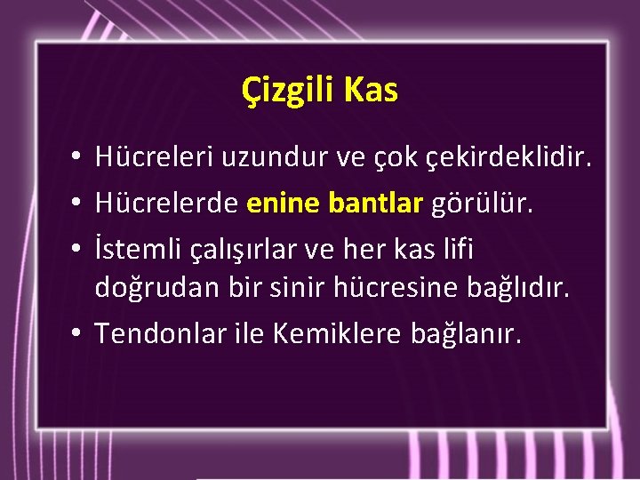 Çizgili Kas Hücreleri uzundur ve çok çekirdeklidir. Hücrelerde enine bantlar görülür. İstemli çalışırlar ve Çizgili Kas Hücreleri uzundur ve çok çekirdeklidir. Hücrelerde enine bantlar görülür. İstemli çalışırlar ve