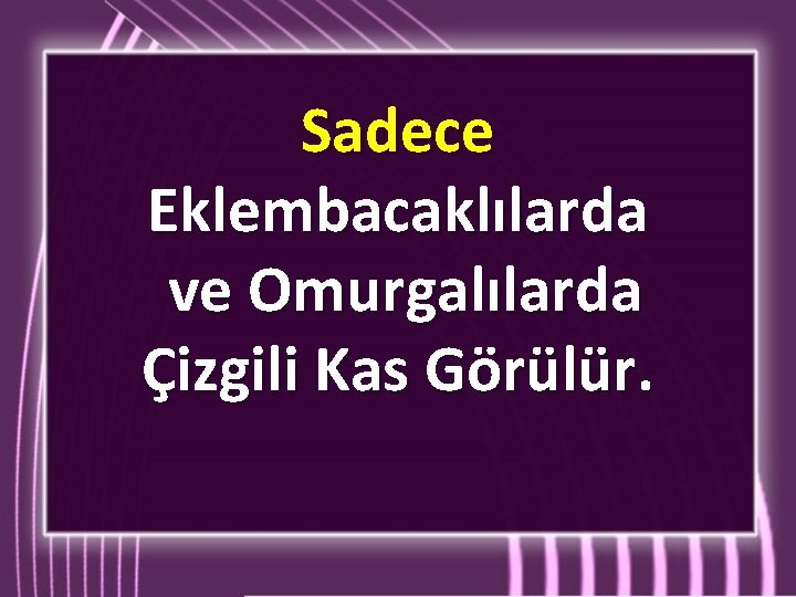 Sadece Eklembacaklılarda ve Omurgalılarda Çizgili Kas Görülür. Sadece Eklembacaklılarda ve Omurgalılarda Çizgili Kas Görülür.