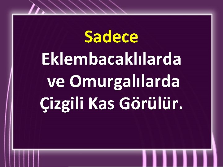 Sadece Eklembacaklılarda ve Omurgalılarda Çizgili Kas Görülür. 