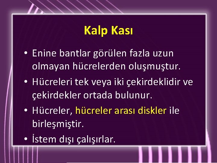 Kalp Kası • Enine bantlar görülen fazla uzun olmayan hücrelerden oluşmuştur. • Hücreleri tek