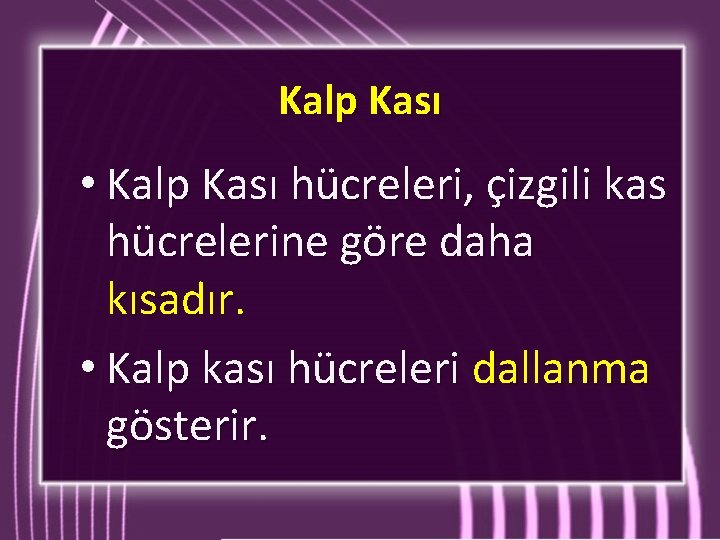 Kalp Kası • Kalp Kası hücreleri, çizgili kas hücrelerine göre daha kısadır. • Kalp