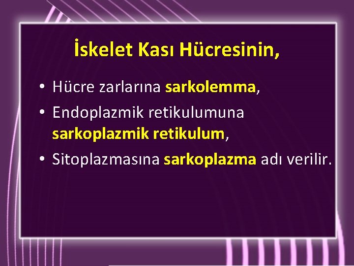 İskelet Kası Hücresinin, Hücre zarlarına sarkolemma, Endoplazmik retikulumuna sarkoplazmik retikulum, • Sitoplazmasına sarkoplazma adı İskelet Kası Hücresinin, Hücre zarlarına sarkolemma, Endoplazmik retikulumuna sarkoplazmik retikulum, • Sitoplazmasına sarkoplazma adı